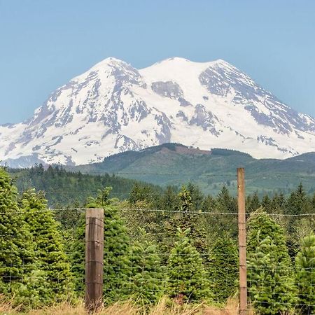 R & R Chalet At Mt. Rainier Эшфорд Экстерьер фото