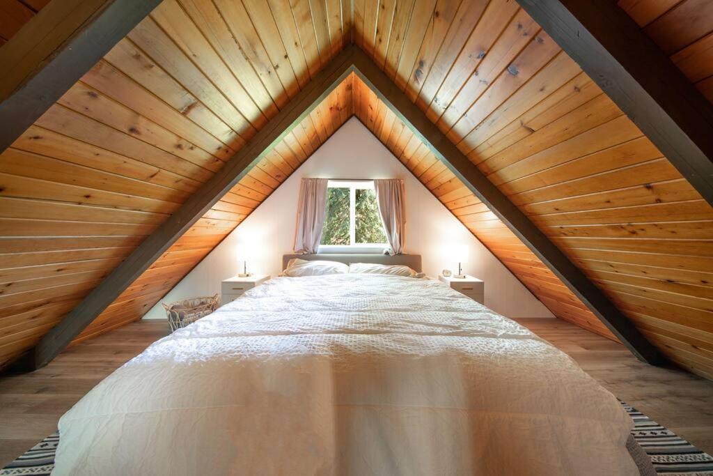 R & R Chalet At Mt. Rainier Эшфорд Экстерьер фото